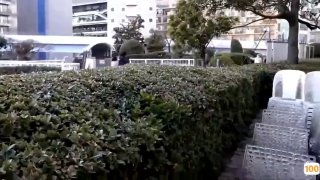 BS新闻台气象女主播黄若薇